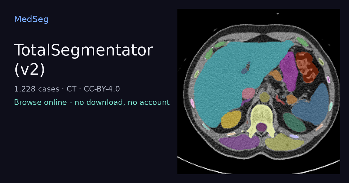 MedSeg public dataset preview with CT cases and segmentation context.